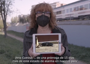 El Partido Animalista da voz en su vídeo electoral «a todos los animales ignorados por el resto de partidos políticos»