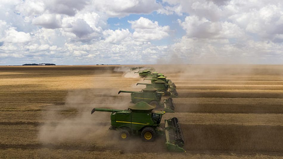 El monocultivo de soja puede dejar a los brasileños sin arroz ni frijoles en la mesa