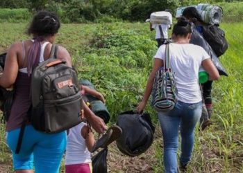 Indepaz alerta sobre aumento progresivo de desplazados en Colombia