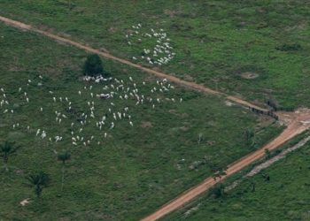 Mientras la crisis ecológica avance no hay nada que celebrar el Día de la Tierra