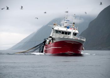 Los ecosistemas vulnerables de las aguas profundas siguen amenazados por la pesca de arrastre de fondo