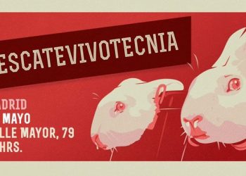 Mañana, 29 de mayo, tendrá lugar una multitudinaria manifestación en Madrid para exigir el rescate de los animales de Vivotecnia