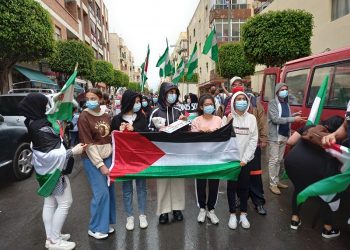 Crónica de la manifestación en solidaridad con Palestina, en El Ejido