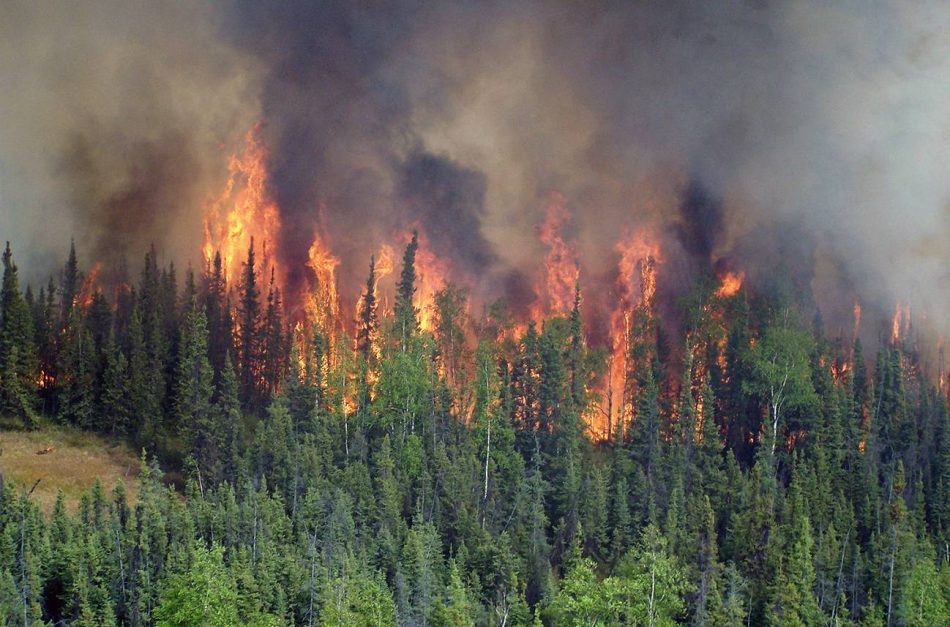 Incendios ‘zombis’ despiertan en los bosques boreales