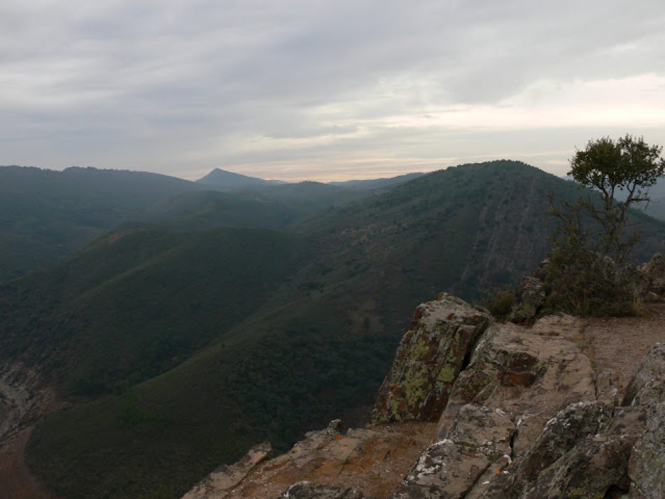 Satisfacción en Ecologistas Extremadura tras 16 meses sin monterías ni suelta de rehalas dentro del Parque Nacional de Monfragüe