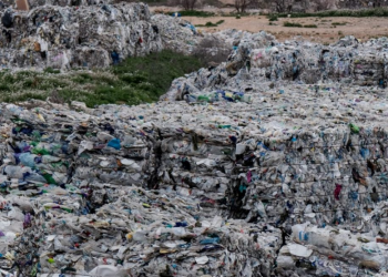 “España está lejos de poder celebrar el Día del Reciclaje”