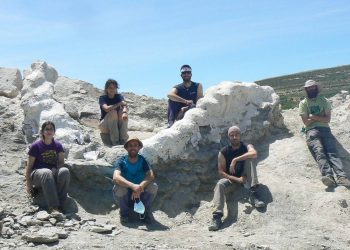 Hallan en Teruel una columna vertebral de más de cinco metros de un enorme dinosaurio