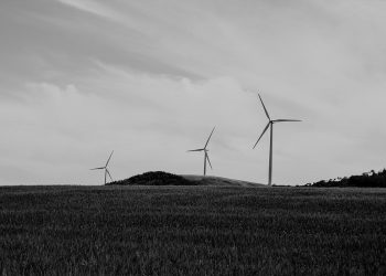 Verdes EQUO: «La transición energética debe ser compatible con la protección de la biodiversidad y del territorio»