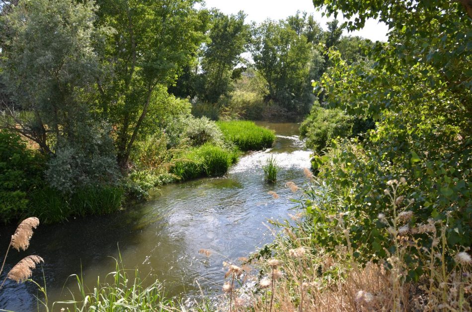 Organizaciones ecologistas piden crecidas fluviales frente a fumigaciones con pesticidas