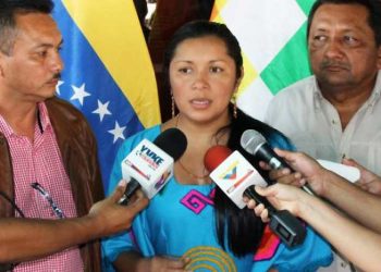 Pueblos originarios de Venezuela alistan postulación de candidatos