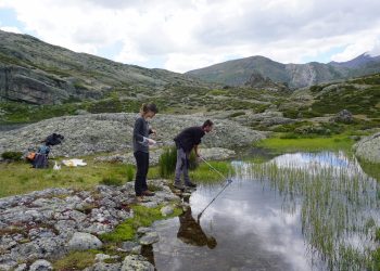 Red Cambera finaliza la búsqueda del hongo causante de la muerte masiva de anfibios en la Cordillera Cantábrica