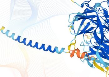 Publicada la imagen más completa de las proteínas que componen el proteoma humano