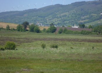 Coordinadora Ecoloxista d’Asturies: «Hay que proteger la turbera de la Molina»