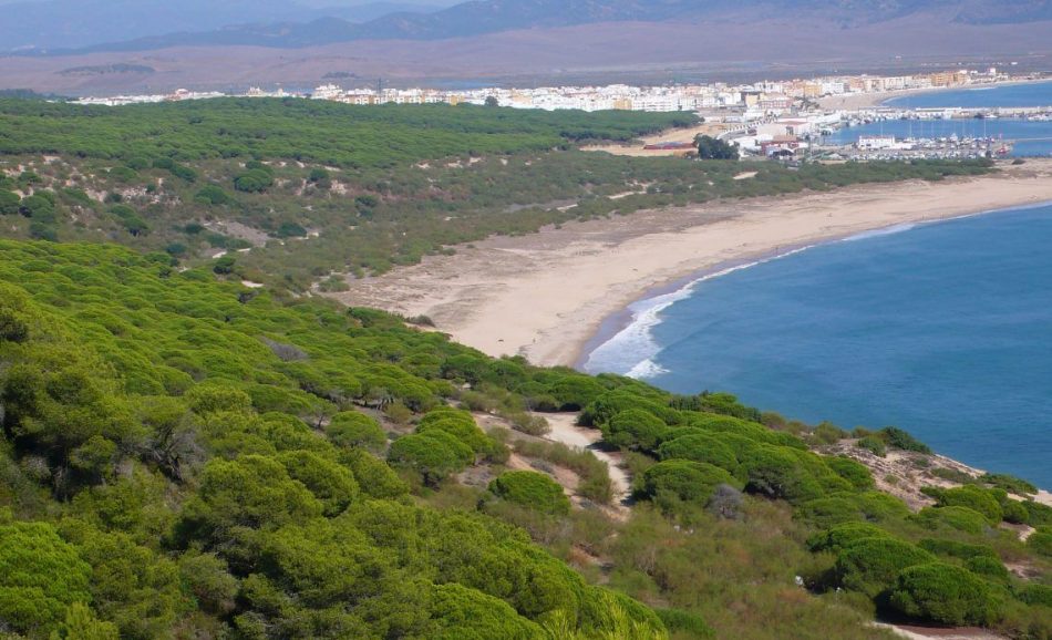 Verdes Equo pregunta al Gobierno de España por las amenazas urbanísticas en el litoral de Barbate