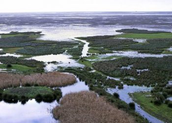 Más País denuncia los “40 años de maltrato permitido” que sufre Doñana y exige al Gobierno medidas “urgentes que reviertan la situación límite de sus masas de agua”