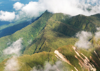 Gobierno peruano aprueba Reserva Indígena Kakataibo Norte y Sur