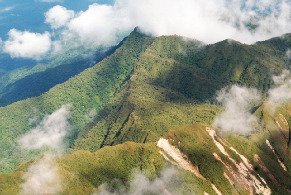 Gobierno peruano aprueba Reserva Indígena Kakataibo Norte y Sur