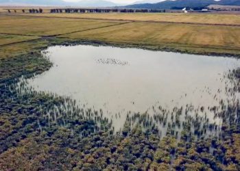 Unidas Podemos pide en el Congreso medidas para la restauración de los humedales de la Laguna de Antela, la Laguna de la Janda y Mar de Campos