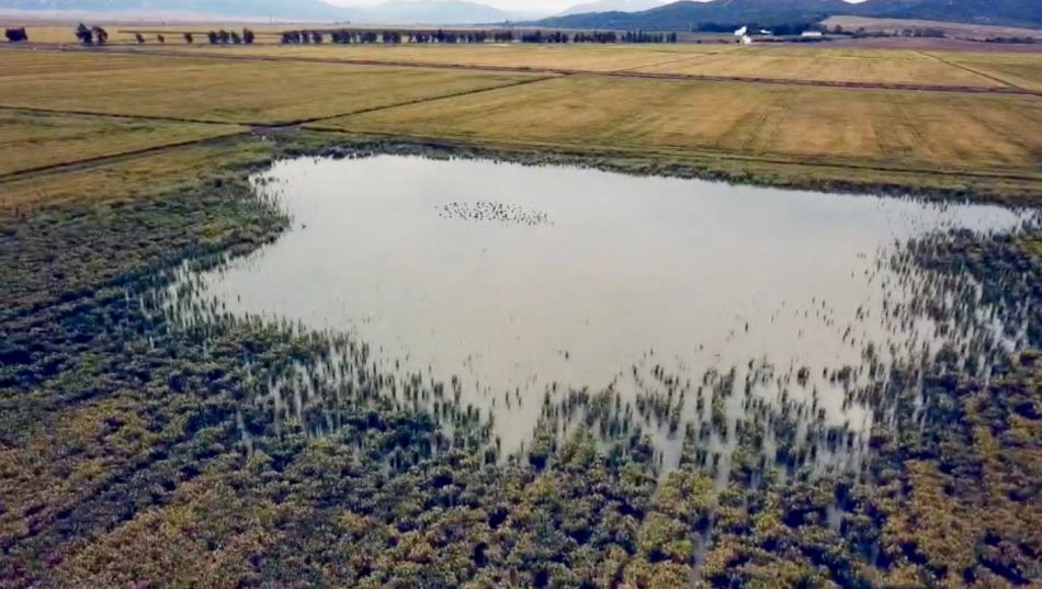 Unidas Podemos pide en el Congreso medidas para la restauración de los humedales de la Laguna de Antela, la Laguna de la Janda y Mar de Campos