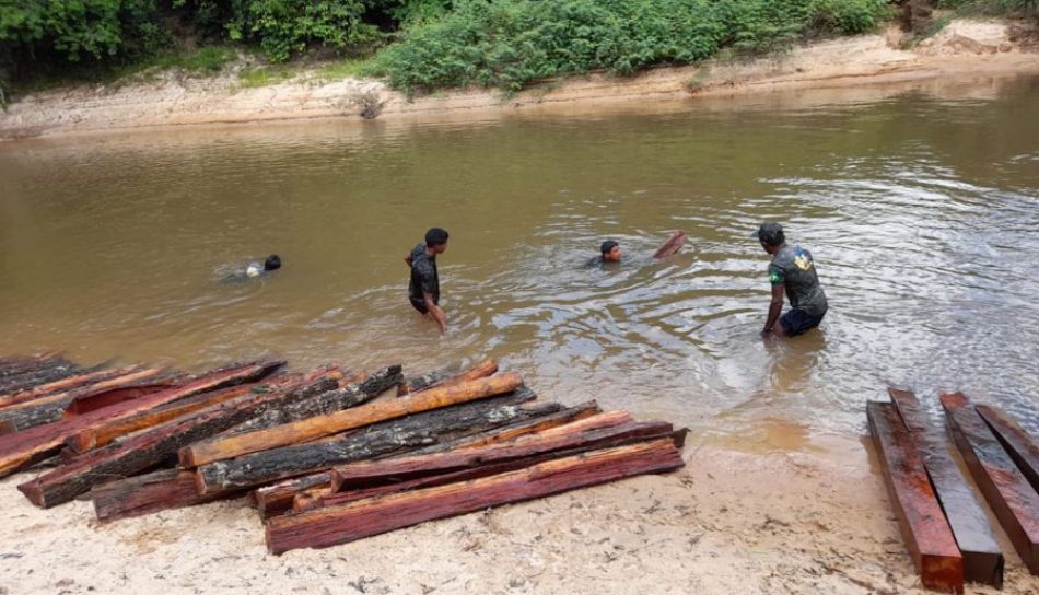 Sin indígenas no hay Amazonas