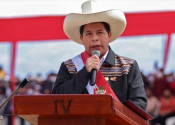 El plan trazado por Castillo para reactivar la economía de Perú