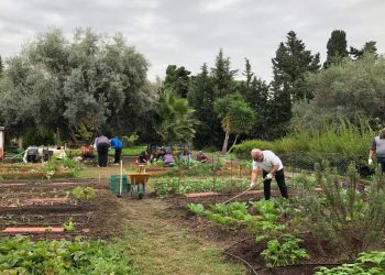 Instan a la Junta de Extremadura a que potencie la agroecología y no la expansión de los cultivos de regadíos