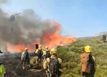 IUCyL muestra su preocupación por los incendios forestales en Ávila y reclama una vez más un operativo anual de prevención y extinción de incendios público