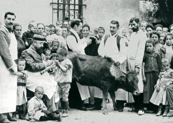 La importancia de las vacunas en la historia para luchar contra las enfermedades infecciosas