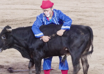 PACMA documenta «el bombero torero» de Zahínos (Badajoz) y denunciará el incumplimiento de las medidas contra la COVID-19