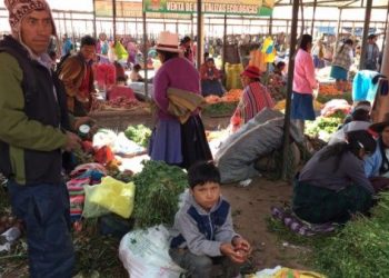 Gobierno de Perú promulga nueva ley de cooperativas agrarias