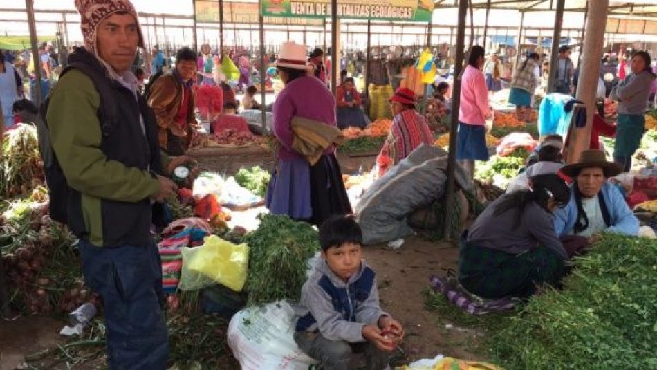 Gobierno de Perú promulga nueva ley de cooperativas agrarias