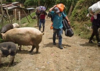 Crece crisis humanitaria en el sur de Colombia