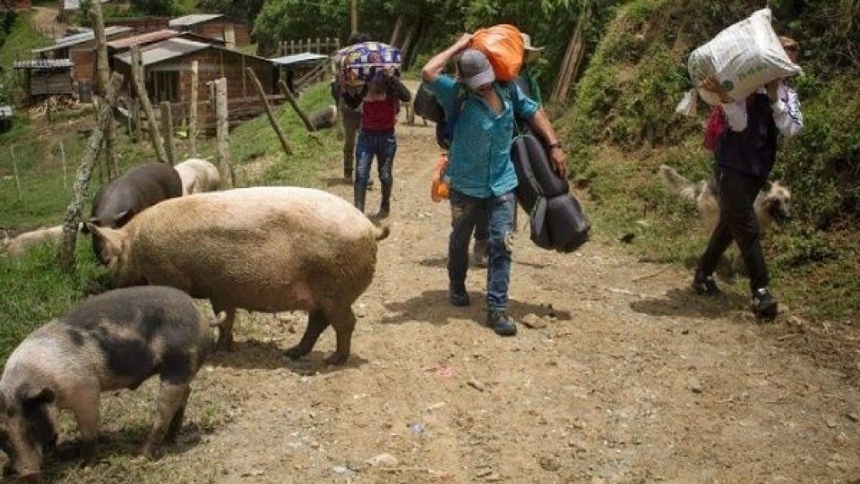 Crece crisis humanitaria en el sur de Colombia