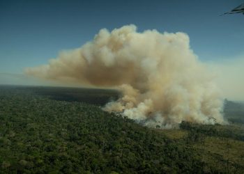 Los satélites confirman que la deforestación en la Amazonia sigue fuera de control