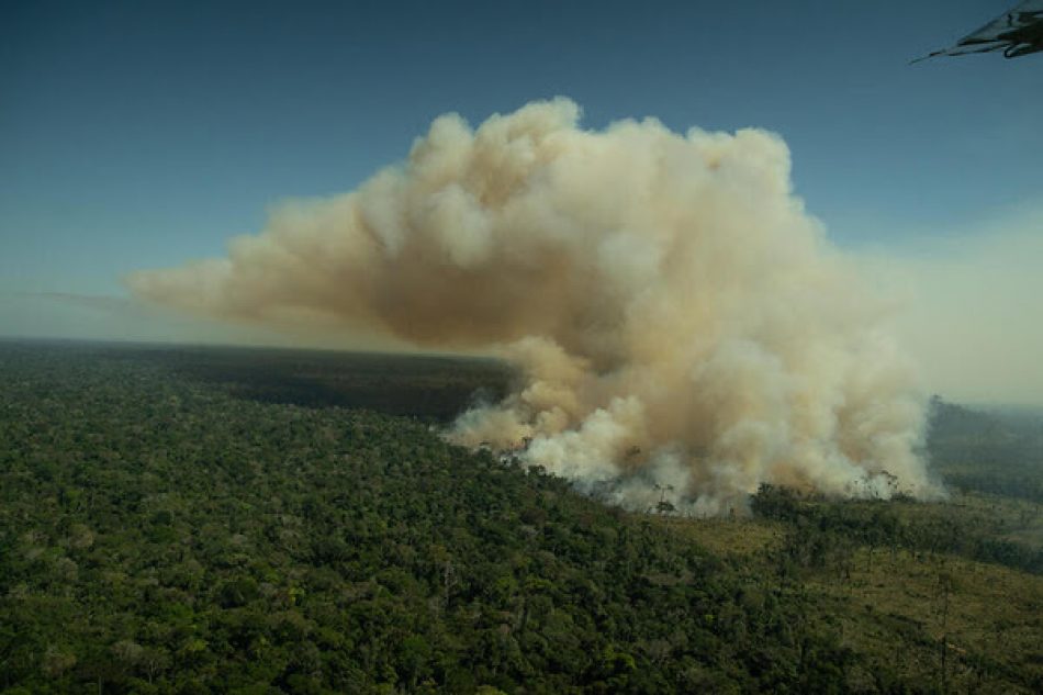 Los satélites confirman que la deforestación en la Amazonia sigue fuera de control