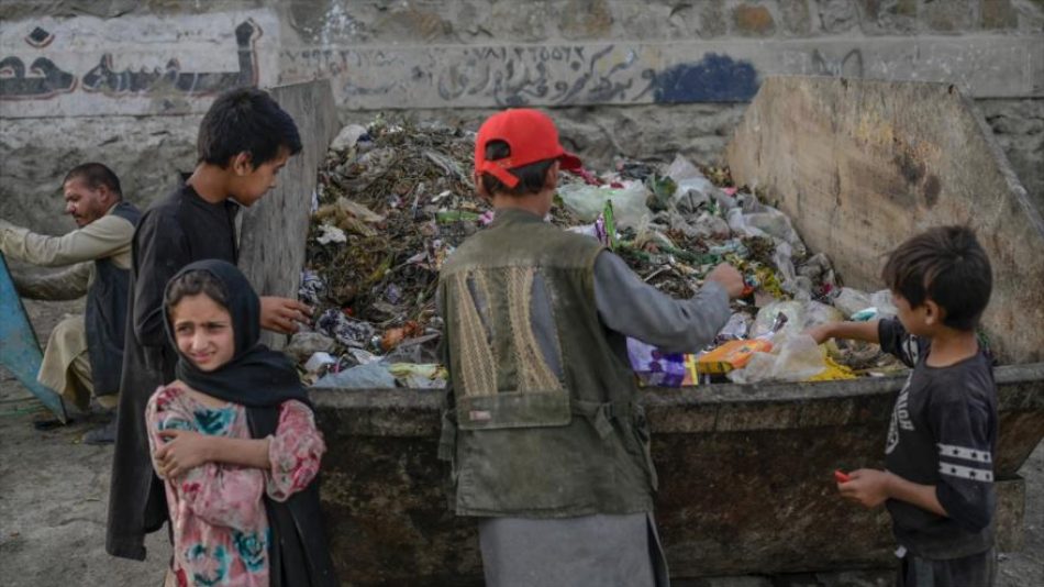 El Programa Mundial de Alimentos alerta: Solo el 5 % de los hogares afganos tiene suficiente para comer