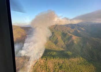 El Gobierno declara zonas afectadas por emergencias de protección civil los incendios de Sierra Bermeja, en Málaga, y Gualchos, en Granada