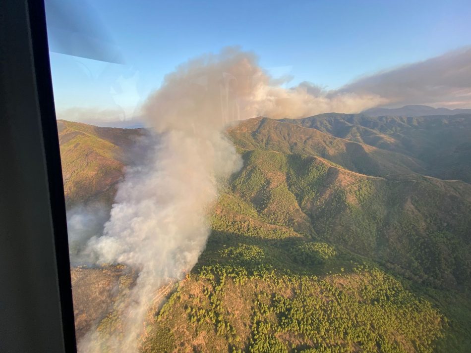 Más País pedirá la declaración de zona catastrófica y que Sierra Bermeja se incluya dentro del Parque Nacional Sierra de las Nieves