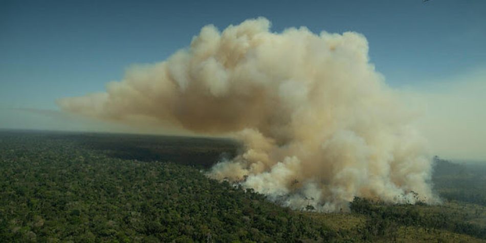 Greenpeace denuncia que el Banco Santander sigue financiando la deforestación de la Amazonia
