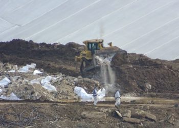 El lindano continúa siendo el presente de un legado tóxico