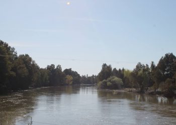 Denuncian que se están extrayendo áridos en Don Benito (Badajoz) sin contar con los permisos e impidiendo el paso de ganado y personas