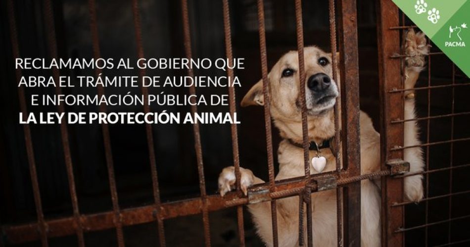 PACMA insta al Gobierno a publicar el Anteproyecto de la Ley de Protección Animal y abrir el trámite de audiencia e información pública