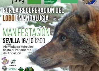 Alianza Verde participa este sábado en la manifestación por la recuperación del lobo en Andalucía