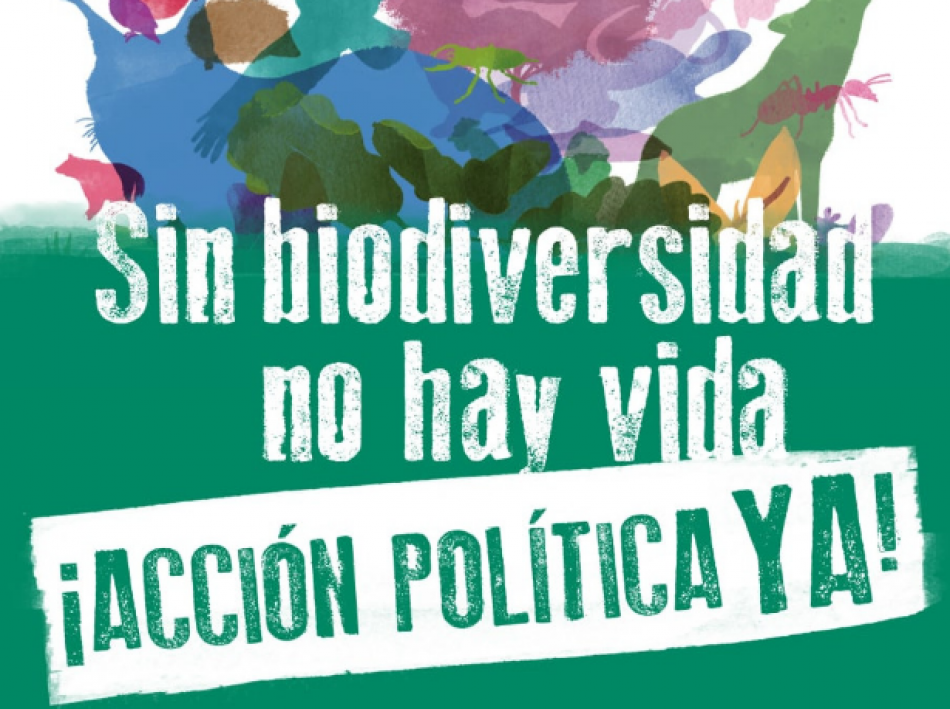 COP15: las decisiones que se tomen en la Cumbre Mundial de Diversidad Biológica determinarán el futuro de la especie humana