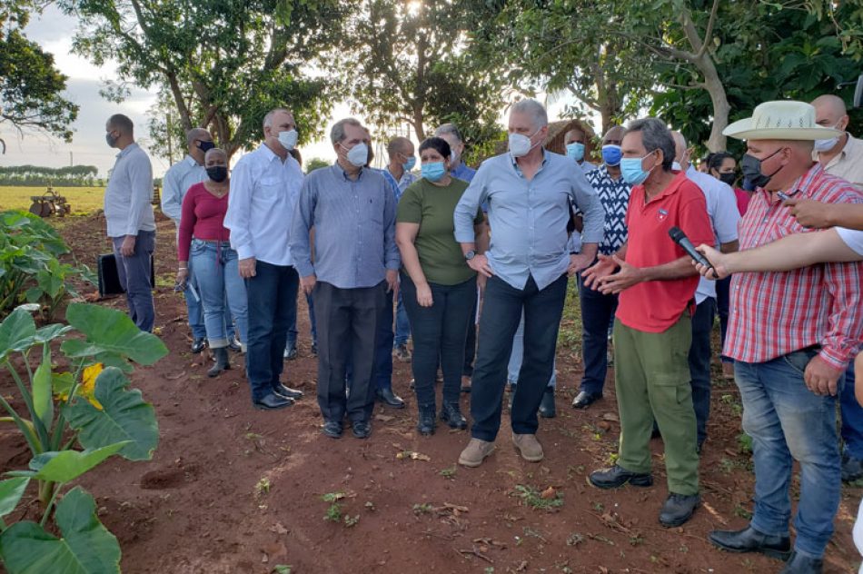 Díaz-Canel insta a generalizar experiencias frente a cambio climático