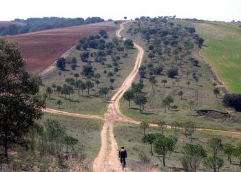 El proyecto de decreto sobre las vías pecuarias de Extremadura elimina el límite de vehículos y permite las ocupaciones ilegales