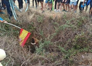 Guadalajara Antitaurina denuncia un encierro motorizado en Torija