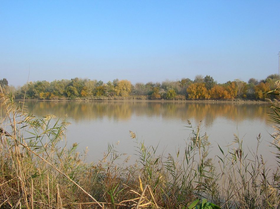 Ecologista presenta alegaciones al nuevo Plan Hidrológico del Guadalquivir para evitar «el colapso hídrico en la demarcación»