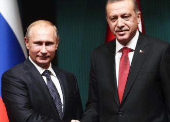 Putin increpa a Erdogan: Ucrania utiliza drones turcos en Donbás