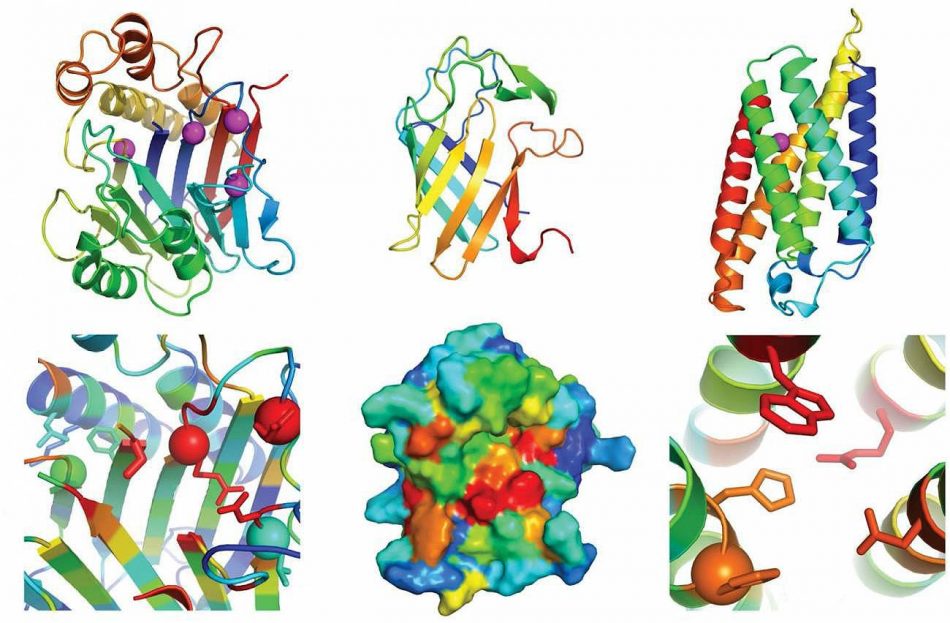 Estos son los avances científicos más importantes de 2021 según la revista ‘Science’